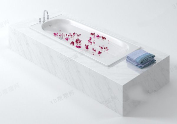 Luxury bath model
