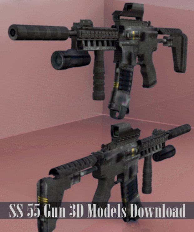 SS 55 gun 