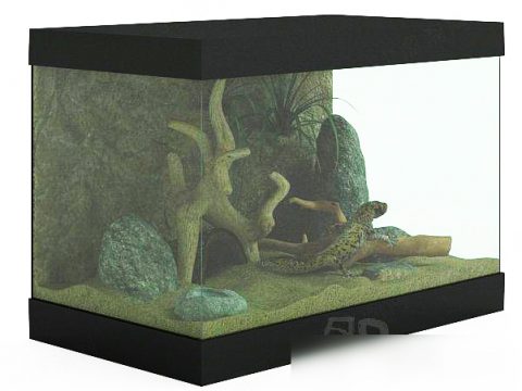 Aquarium 3d model