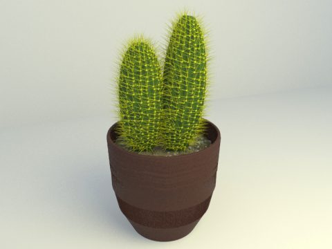 Cactus 3d models