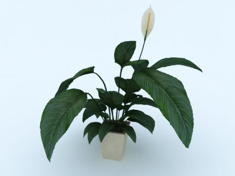 Plant 3d model free