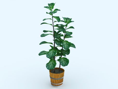 3d Indoor Plants Models Free Download Downloadfree3d Com