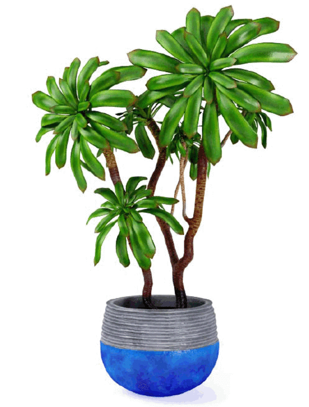 Plant 3ds max model