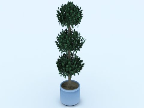 Plant 3ds obj max model