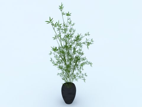 Plant 3d max model