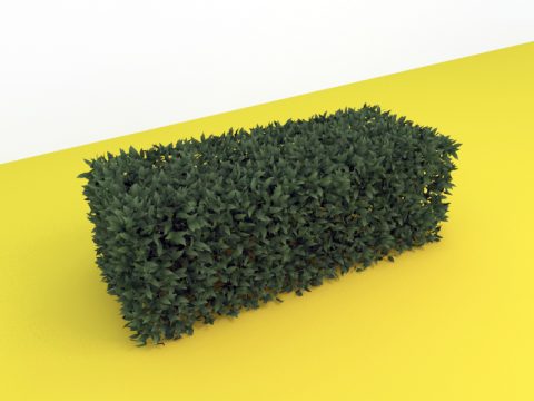 Hedge 3d max model