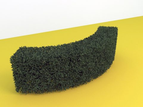 Hedge 3d model