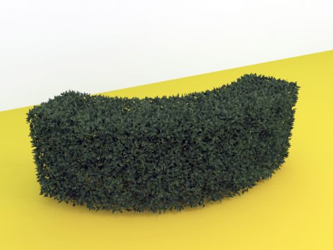 hedge 3d model