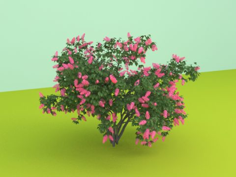 plant 3d model