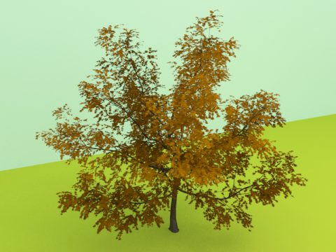 tree 3d model
