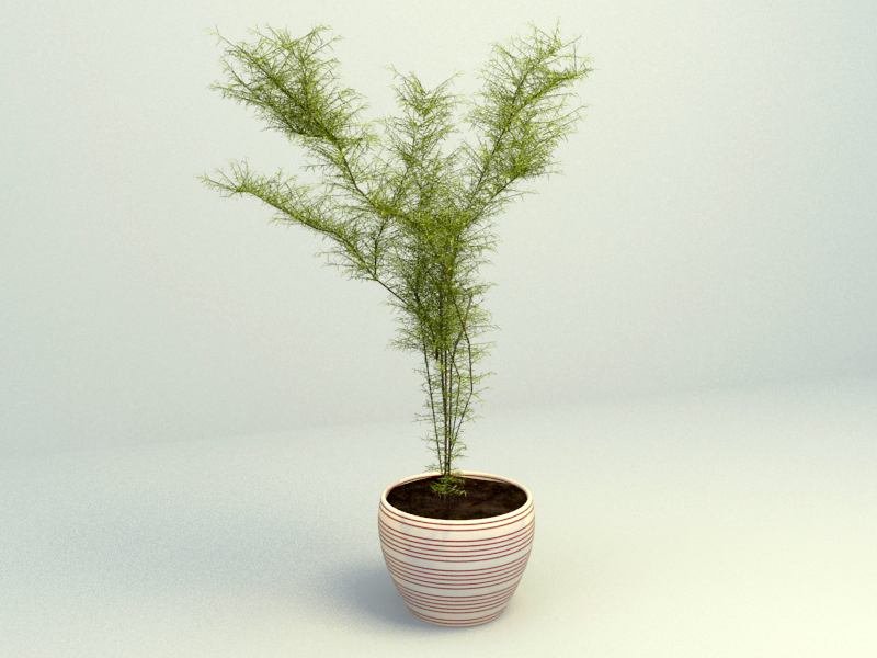 plant 3d model