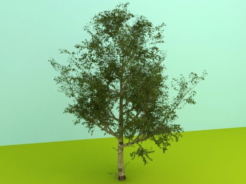 tree 3d max model