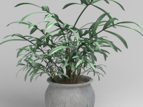 Outside Plant 3D model