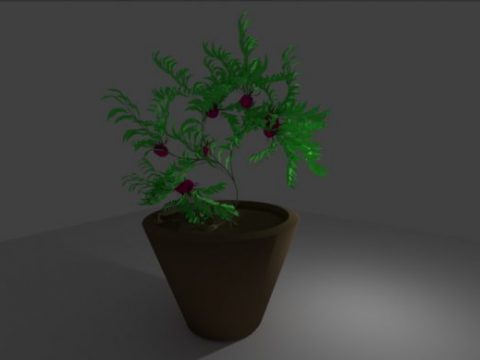 Plant Pot 3D model