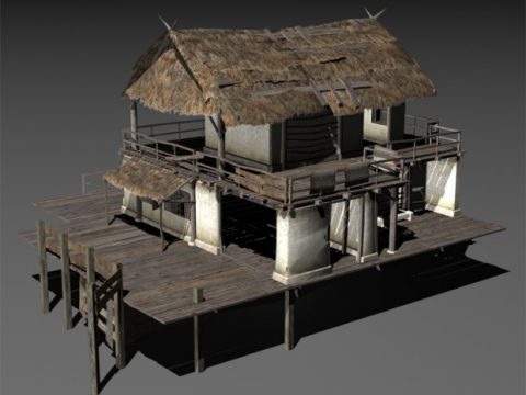 Swamp House 3D model