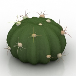 Cactus Ferocactus Latiapin 3d model