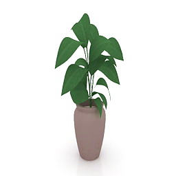 Ficus 3d model