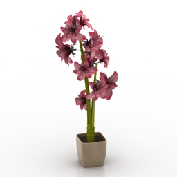 Flower 3d model download
