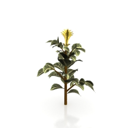 free 3d model download plant with flowers