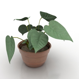Plant 3d model download