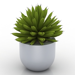 Plant 3d model