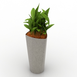 Plant 3d model free download