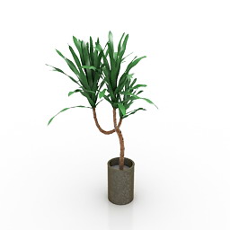 Plant 3d model