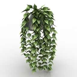 Plant vase 3d model