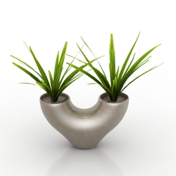 Vase plant 3d model