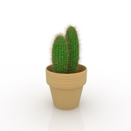 cactus 3d model
