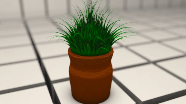 3D Plant model