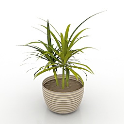 window plant 3d model