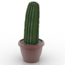 download android cactus