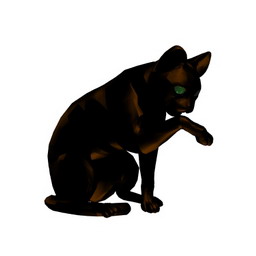 Cat Nightstep Downloadfree3d Com