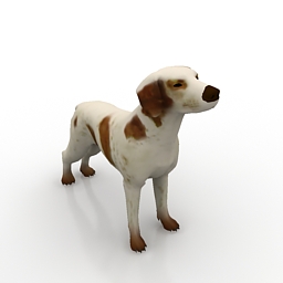 Dog 3d Model Free Download