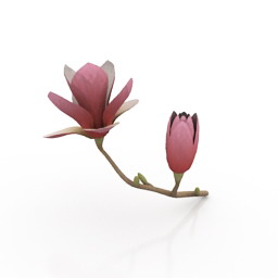 Flower 3d model free