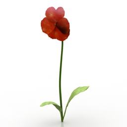 Flower Pansy 3d model