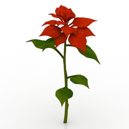 Flower Poinsettia 3d model