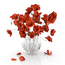 Flowers poppies 3d model