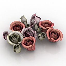 Flowers rose 3d model