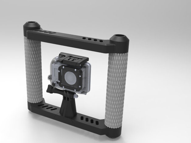 Go Pro fig rig steady 3D model