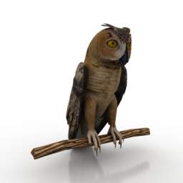 Owl 3d model