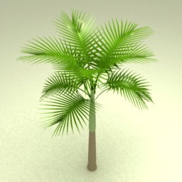Palm 3d model