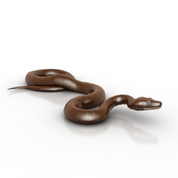Snake 3d model