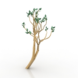 Tree 3d model