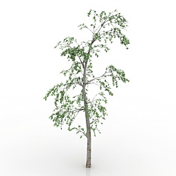 Tree 3d model download
