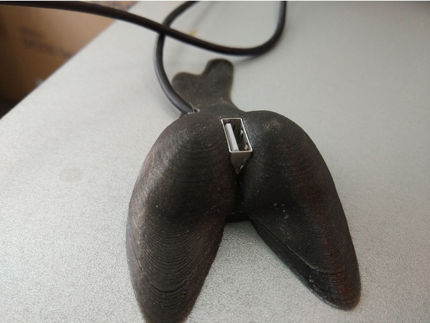 Butt desktop usb extension 3D model