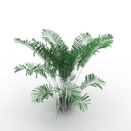 ornamental plant 3d model