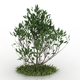 Bush and grass 3d model download