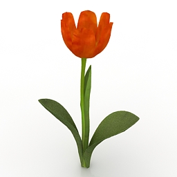 Flower Princess Irene Tulip 3d model
